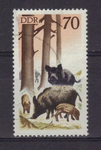 Allemagne Ddr 1965 : Faune : Gibier : Sangliers - Timbre Oblitéré