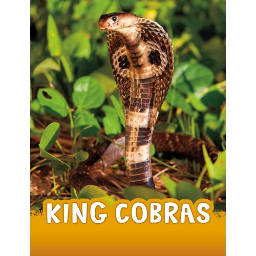 King Cobras (Animals)