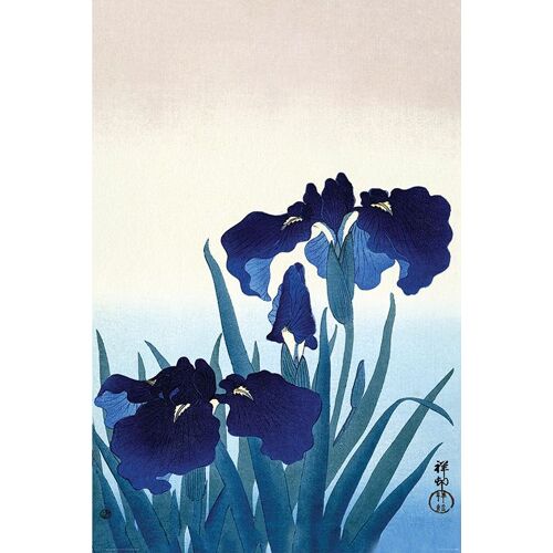 Ohara Koson - Iris Flowers - 61x91,5cm - Affiche / Poster Envoi Roulé