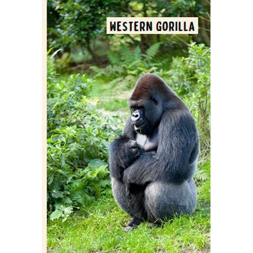 Western Gorilla: Perfect Western Gorilla Journal For Memories And Notes , Western Gorilla Notebook ( 110 Pages, 6x9 )