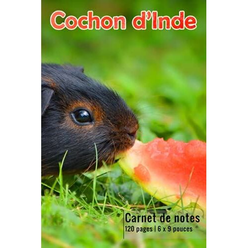 Cochon D'inde: Carnet De Notes Ligné Et Numéroté, De Très Bonne Qualité, Pour Les Passionné(E)S De Cochon D'inde | 120 Pages | 6 X 9 Pouces