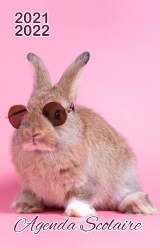 Agenda Scolaire: Agenda Journalier Quotidien Pour Les Collégiens, Petit Format, Couverture Souple - Lapin Rigolo Trop Mignon