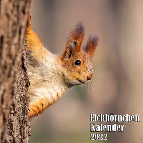 Eichhörnchen Kalender 2022: Kalender Mit Monatskalendarium Für Eichhörnchenliebhaber | Broschürenkalender Mit Ferienterminen | Geschenk Für Männer, ... Oder Kollegen Zum Geburtstag Oder Weihnachten
