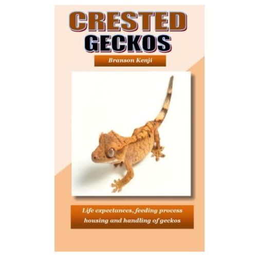 Crested Geckos: Life Expectancies, Feeding Process Housing And Handling Of Geckos