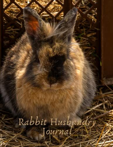 Rabbit Husbandry Journal: Rabbit Breeding Log Book| Rabbitry Management Journal | Notebook To Keep Record Of All Your Rabbit Raising Activities