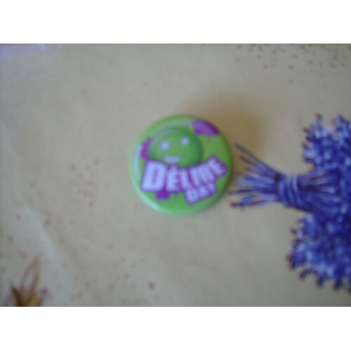 Badge "Delire Day"