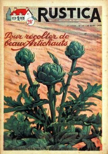 Rustica N° 17 Du 25/04/1954 - Pour Recolter De Beaux Artichauts
