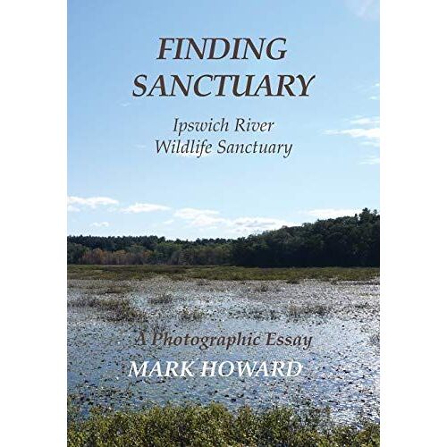 Finding Sanctuary