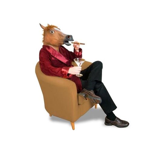 Masque Tête De Cheval Déguisement En Latex Costume