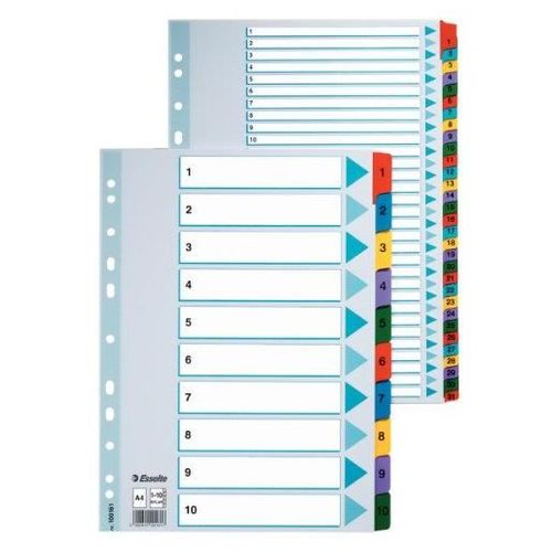 Esselte Intercalaires Répertoire Mensuel, A4 Mylar12 Onglets En Couleurs Imprimés