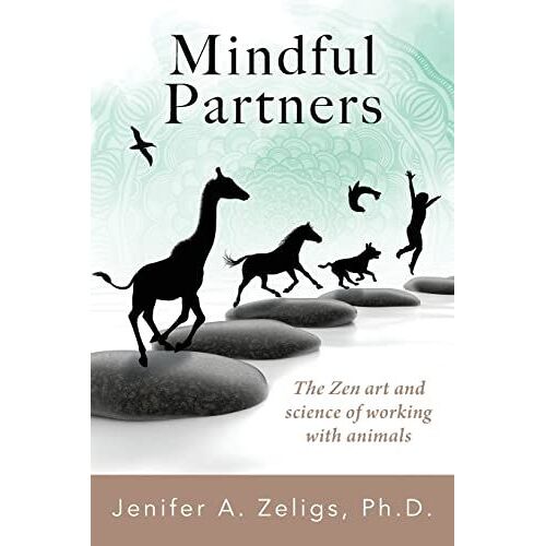 Mindful Partners