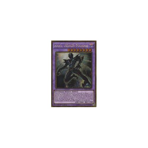 Anki, Heros Masqué - Pgl2-Fr011 Vf