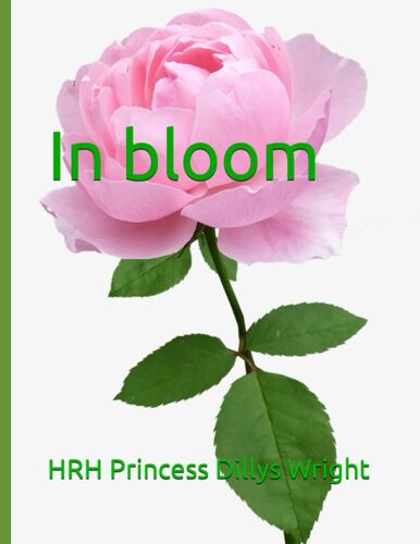 In Bloom: How To Fall In Love And Have Fulfilling Romantic Relationship