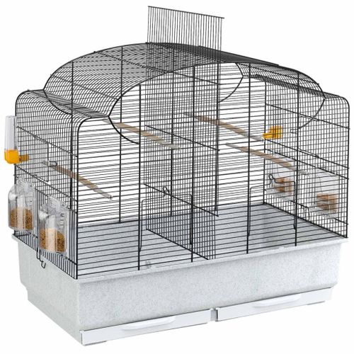 Cage Canto Ferplast Pour Oiseaux