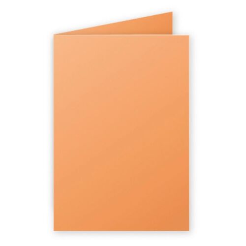 Clairefontaine Lot De 5 Cartes 210g Pliée 110x155 Clémentine Pqt 25