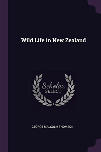 Wild Life In New Zealand