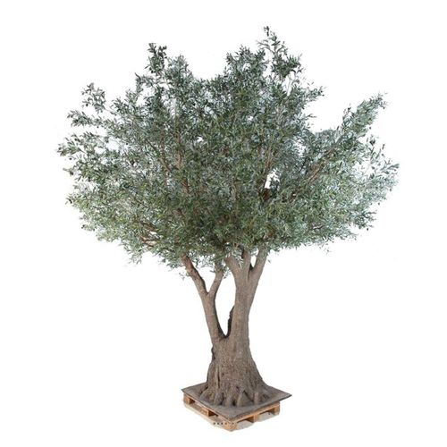 Olivier Geant Artificiel H 430 Cm L 480 Cm Olives Noires Sur Platine