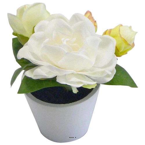 Roses Artificielles En Pot Blanc H 14 Cm Composition Adorable Crème