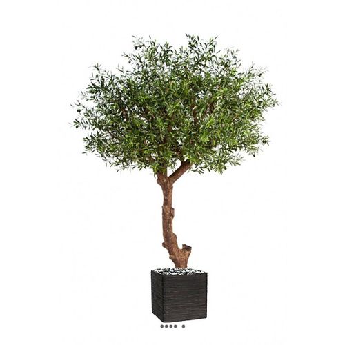 Superbe Olivier Majestueux Artificiel En Pot H 270 Cm