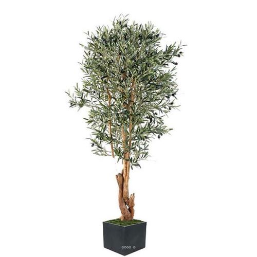 Olivier Artificiel En Pot Tronc Noueux 170cm