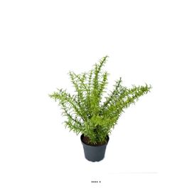 Romarin Artificiel, Herbe Aromatique, En Pot H 35 Cm, D 28 Cm