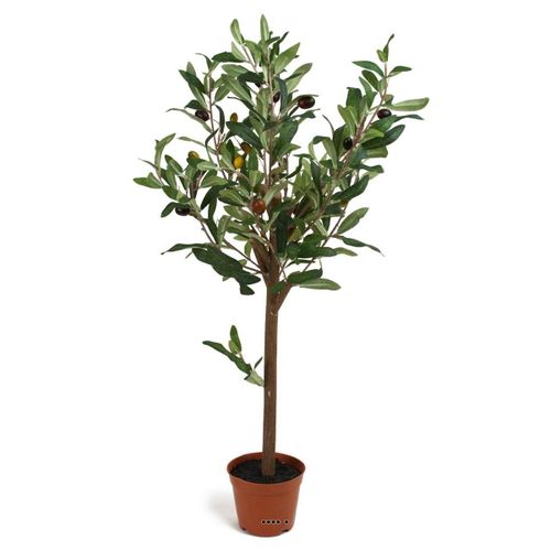 Olivier Artificiel En Pot H65cm Tronc Bois Avec Olives Très Realiste
