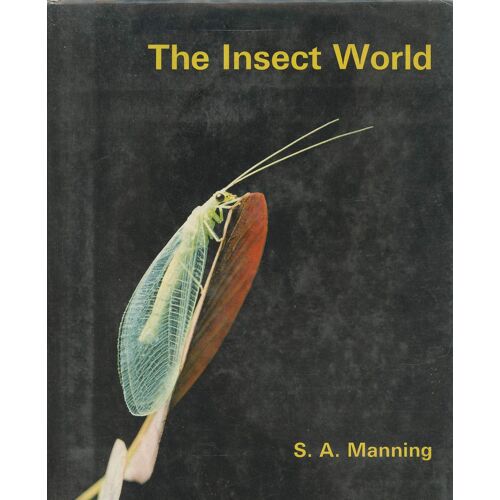 The Insect World