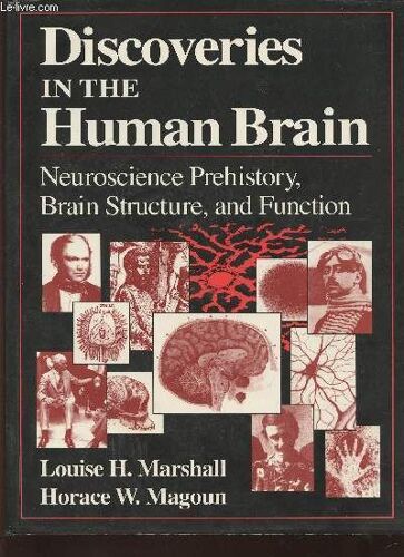 Discoveries In The Human Brain- Neuroscience, Prehistory, Brain Structure, And Function