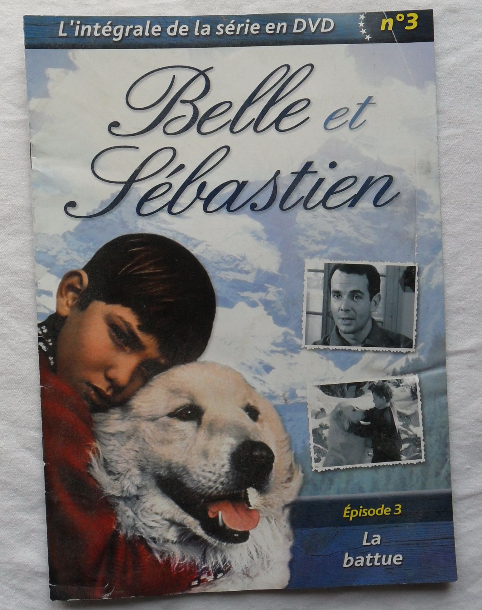 faune vertébrée, image size:1580x2000