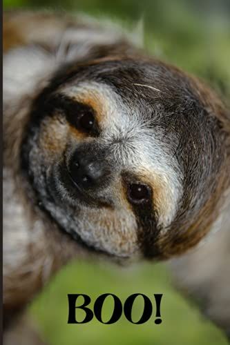 Notebook: Smiling Sloth Says Boo