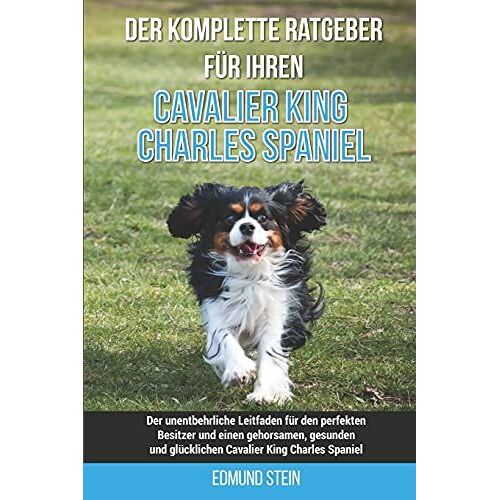 Der Komplette Ratgeber Fã¿R Ihren Cavalier King Charles Spaniel: Der Unentbehrliche Leitfaden Fã¿R Den Perfekten Besitzer Und Einen Gehorsamen, Gesunden Und Glã¿Cklichen Cavalier King Charles Spaniel