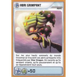 Invizimal-Nouvelle-Alliance-Abri-Grimpant-369