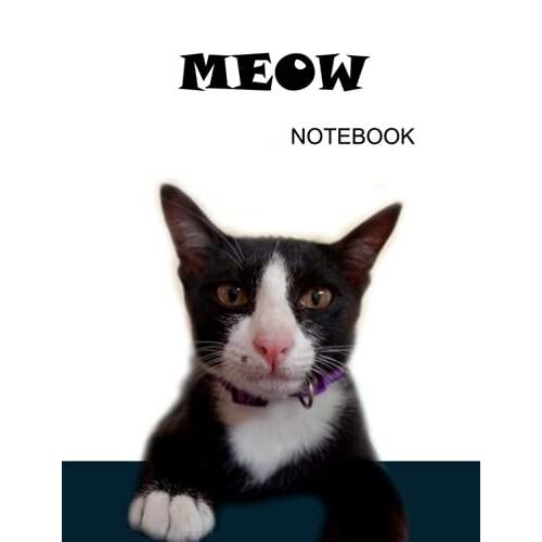 Meow Notebook : Back To School Gift Large (8.5 X 11 Inch): Gifts For Teens Kids Students Girls For Home School College For Cats Lover