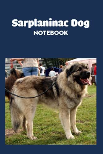 Sarplaninac Dog Notebook: Notebook|Journal| Diary/ Lined - Size 6x9 Inches 100 Pages