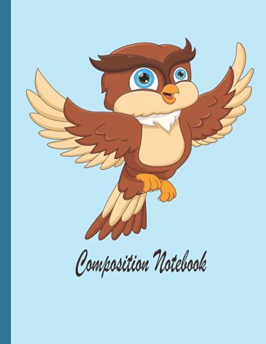 Owl Composition Notebook: Owl Composition Notebook Wide Ruled,Lined Paper Notebook For School, Students,Gift For Kids, Boys, Girls, Teens, ,And Owl Lovers