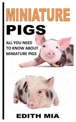 Miniature Pigs: All You Need To Know About Miniature Pigs