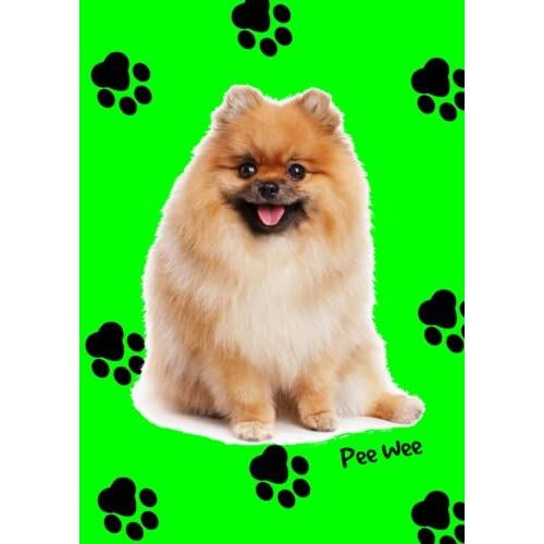 Nice Dogbook Pee Wee, Colore Verde Fashion , A4, Quaderno A Quadretti 5mm Con Margini,120 Pagine: Quaderno Formato Large 21 X 29,7 Cm A Quadratini Per ... With Margins, 8.3 X 11.7, Puppy Book, Empty