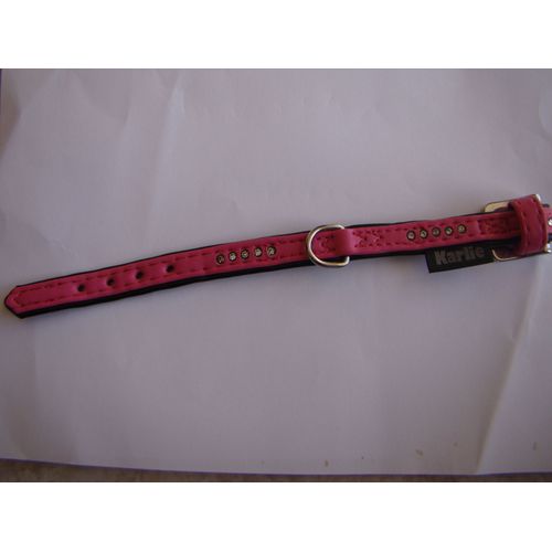 Collier Pour Chien 28 Cm