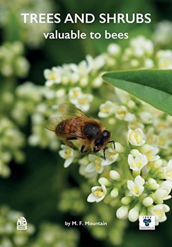 Trees And Shrubs Valuable To Bees