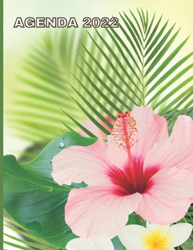 Agenda 2022: Fleur Hibiscus Rose Et Palmier - Calendrier Annuel De Janvier À Décembre 2022 - Carnet Semainier Et Journalier - Format A4