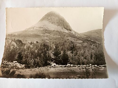 Carte Postale Ardèche - Le Gerbier De Jonc - Carte N°39bis