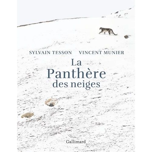 La Panthère Des Neiges