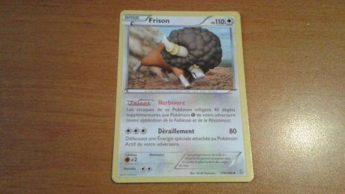 Frison 119/160 Primo Choc