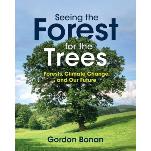 Seeing The Forest For The Trees