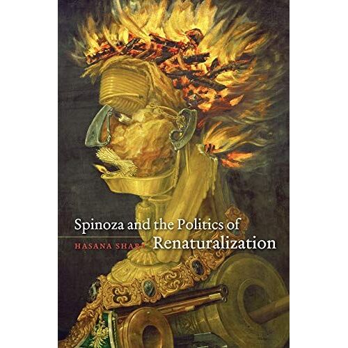 Spinoza And The Politics Of Renaturalization