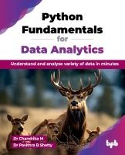 Python Fundamentals For Data Analytics