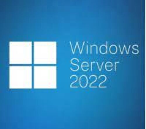 Microsoft Windows Server 2022 Rds 50 User Cal 100 % Légal Et Authentique - Livraison Rapide Des E-Mails