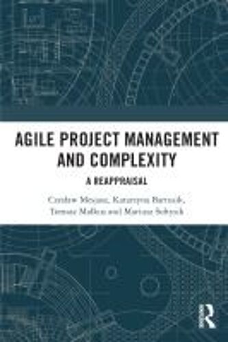 Agile Project Management And Complexity