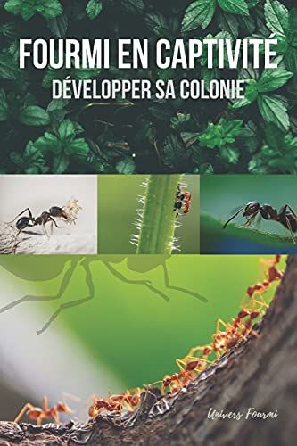 Fourmi En Captivitã©: Dã©Velopper Sa Colonie