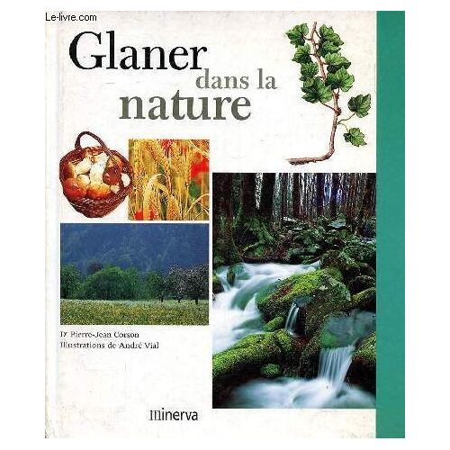 Glaner Dans La Nature